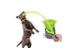 Illustration for article titled Gifts For Pets Owned By Geeks Who Treat Them Like Spoiled Children